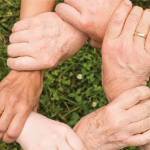 DIPLOMADO EN DERECHOS HUMANOS Y FUNCIÓN PÚBLICA